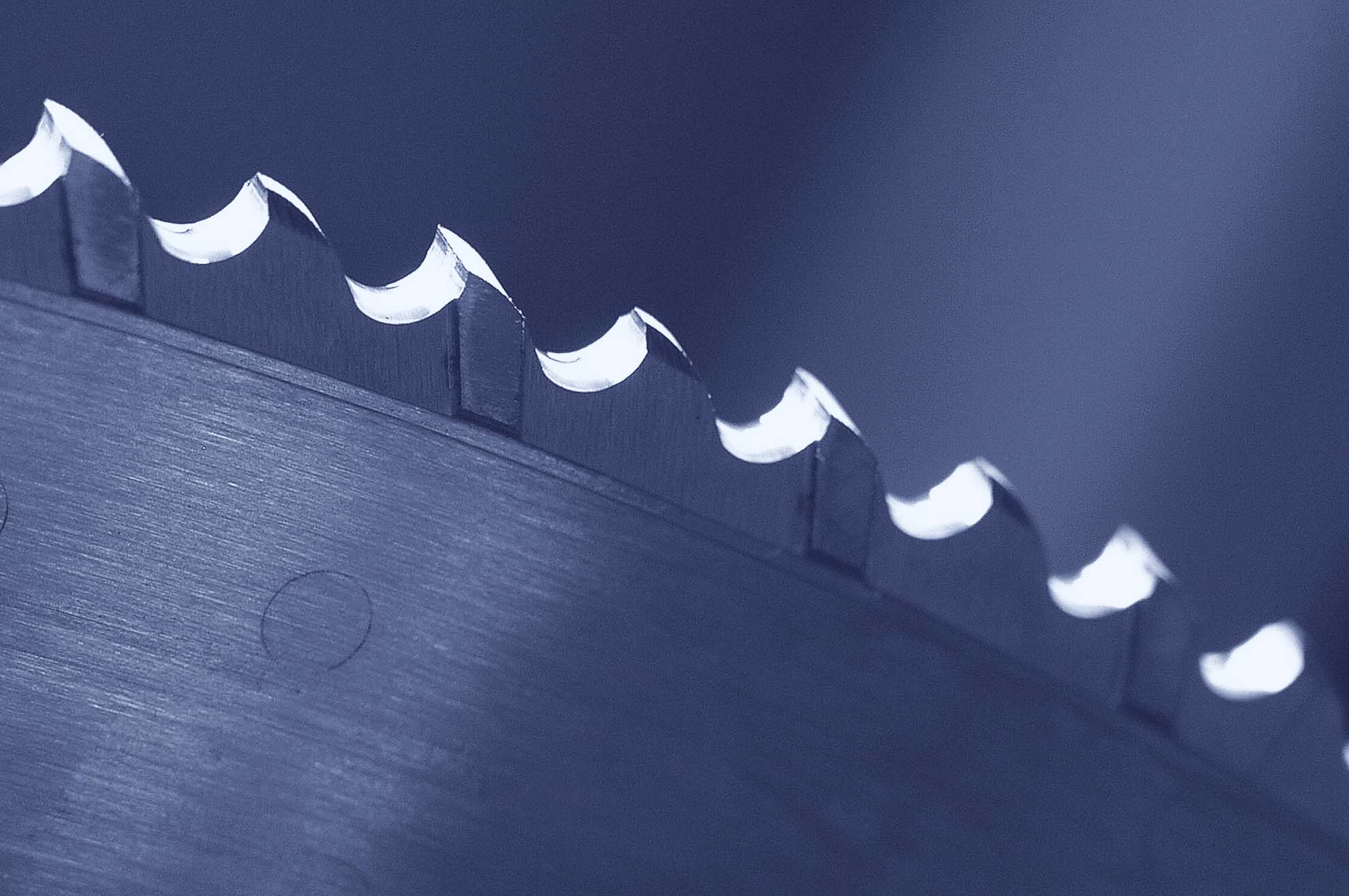 Spezial Segmentkreissägeblatt, für exakte Aufteilschnitte in geschliffene Edelstahlbleche